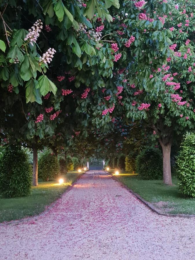 Le Manoir Des Marronniers Sully (Calvados) Exterior foto